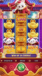 71h · Fortune Rabbit