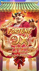 71h · Fortune Ox